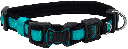 COASTAL Inspire Adjustable Collar 5/8 x 8-12" Aqua